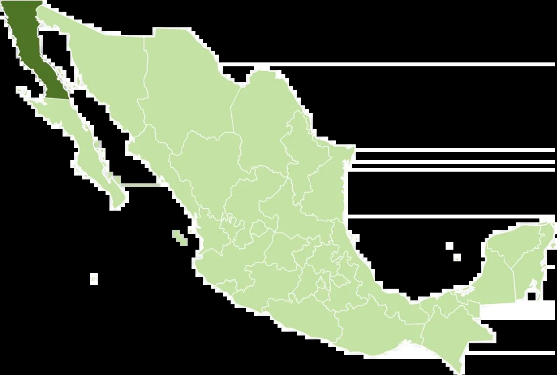 Mexico Tijuana
