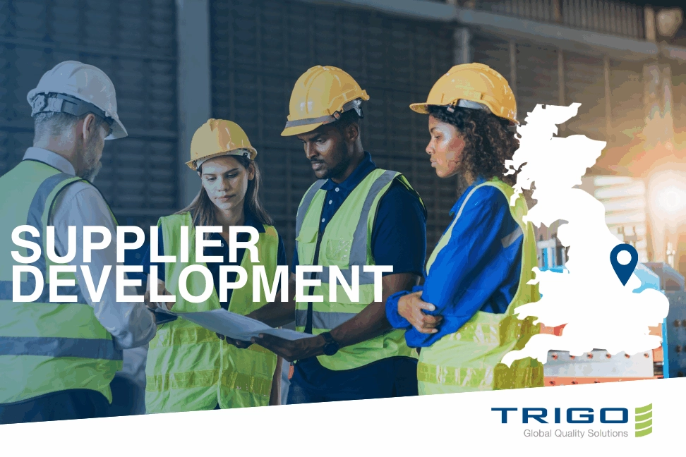 Supplier development